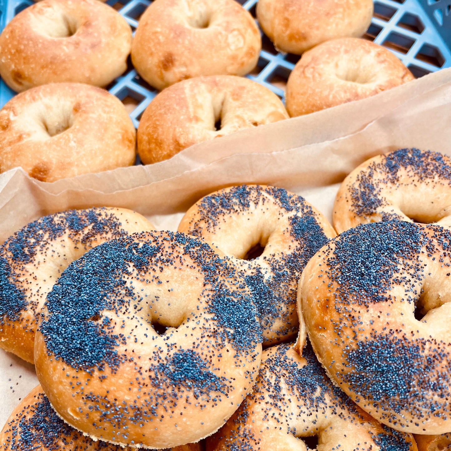 Bagels x 4